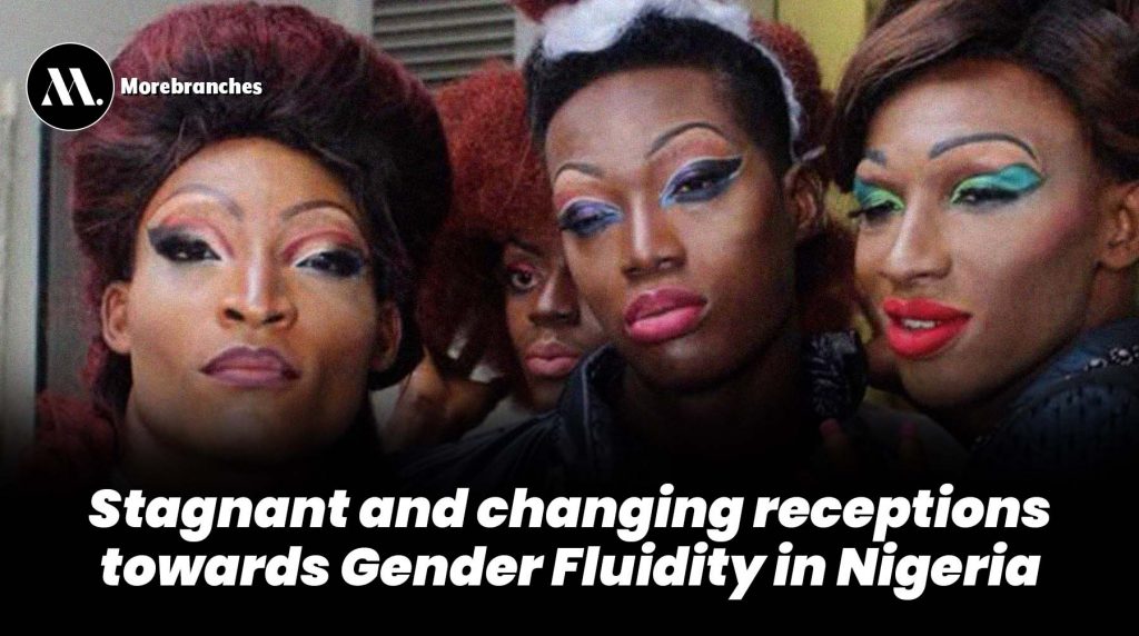 Stagnant and Changing Receptions Towards Gender Fluidity in Nigeria